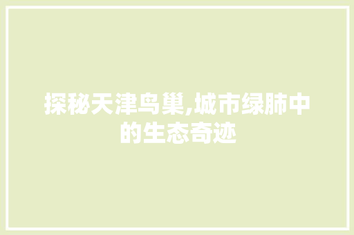 探秘天津鸟巢,城市绿肺中的生态奇迹