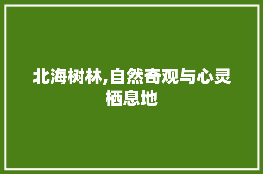 北海树林,自然奇观与心灵栖息地  第1张