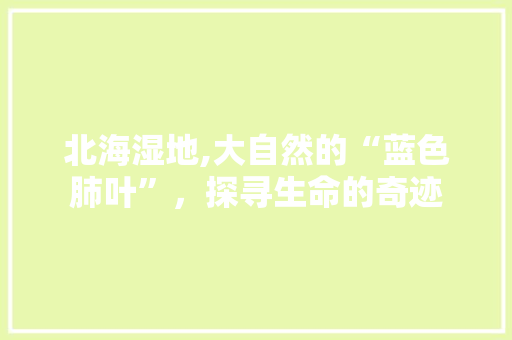 北海湿地,大自然的“蓝色肺叶”，探寻生命的奇迹  第1张