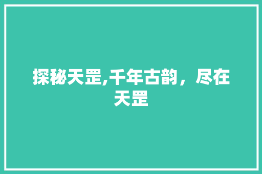 探秘天罡,千年古韵，尽在天罡