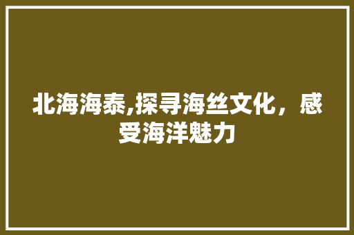 北海海泰,探寻海丝文化，感受海洋魅力  第1张