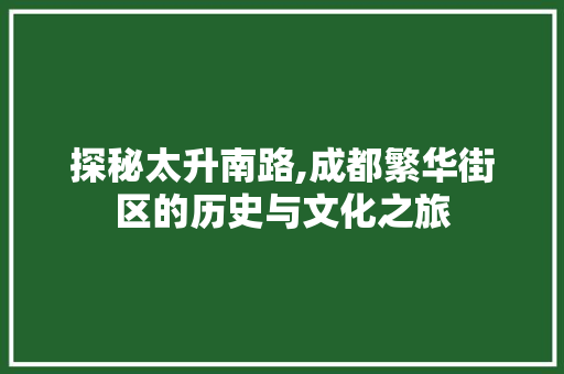 探秘太升南路,成都繁华街区的历史与文化之旅