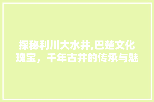 探秘利川大水井,巴楚文化瑰宝，千年古井的传承与魅力  第1张