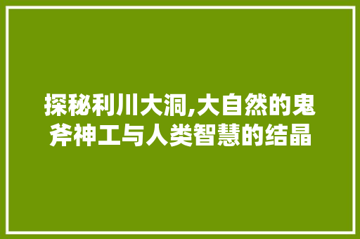 探秘利川大洞,大自然的鬼斧神工与人类智慧的结晶