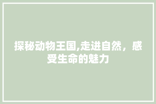 探秘动物王国,走进自然，感受生命的魅力