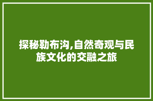 探秘勒布沟,自然奇观与民族文化的交融之旅