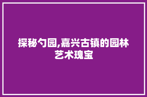 探秘勺园,嘉兴古镇的园林艺术瑰宝