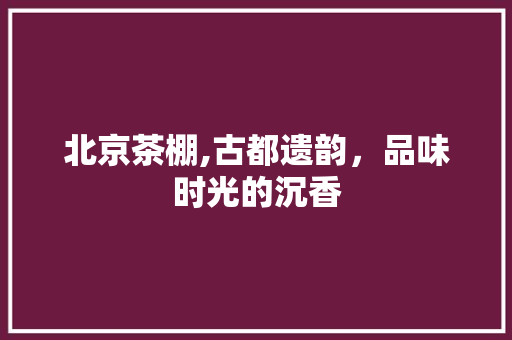 北京茶棚,古都遗韵，品味时光的沉香  第1张