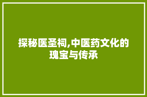 探秘医圣祠,中医药文化的瑰宝与传承