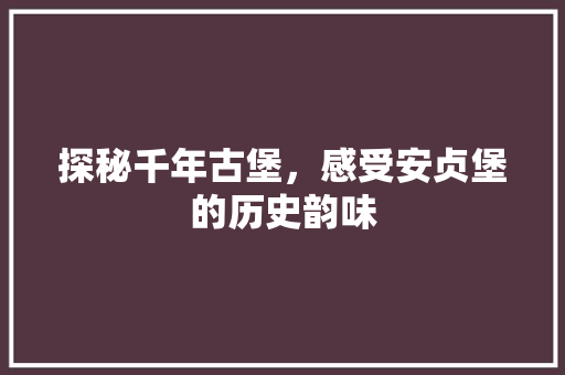 探秘千年古堡，感受安贞堡的历史韵味  第1张