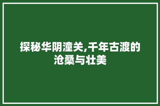 探秘华阴潼关,千年古渡的沧桑与壮美