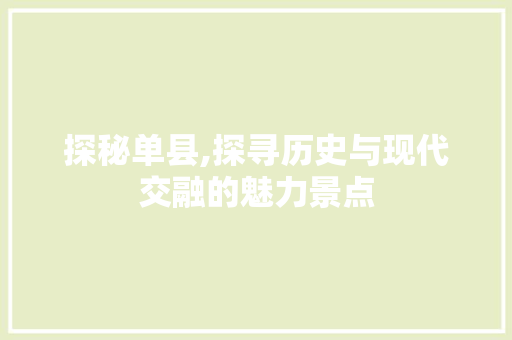 探秘单县,探寻历史与现代交融的魅力景点