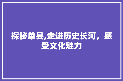 探秘单县,走进历史长河，感受文化魅力