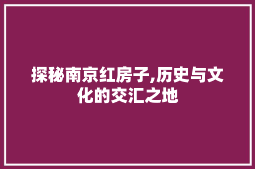 探秘南京红房子,历史与文化的交汇之地