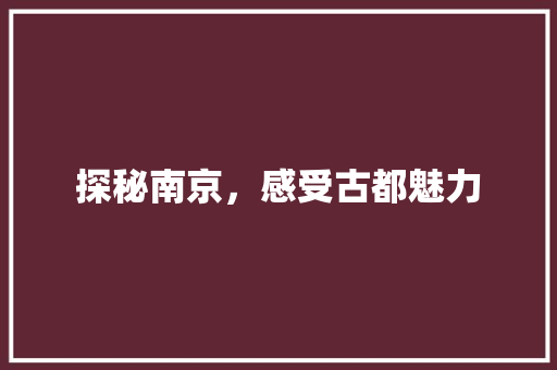 探秘南京，感受古都魅力