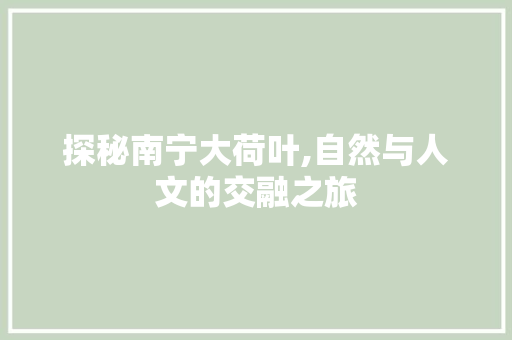 探秘南宁大荷叶,自然与人文的交融之旅