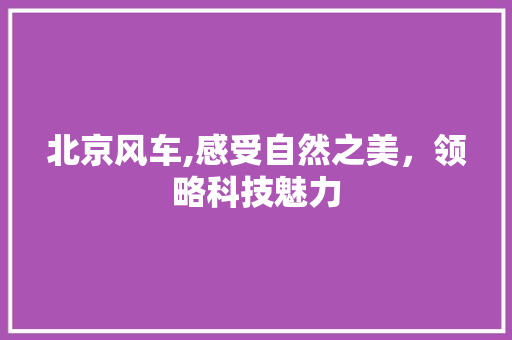 北京风车,感受自然之美，领略科技魅力  第1张