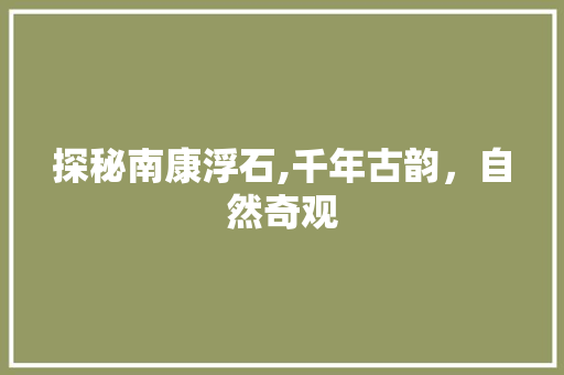 探秘南康浮石,千年古韵，自然奇观