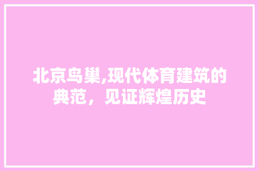 北京鸟巢,现代体育建筑的典范，见证辉煌历史