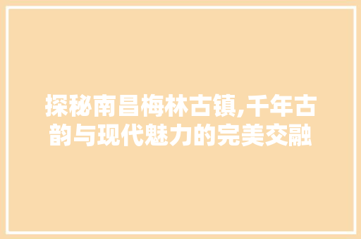 探秘南昌梅林古镇,千年古韵与现代魅力的完美交融