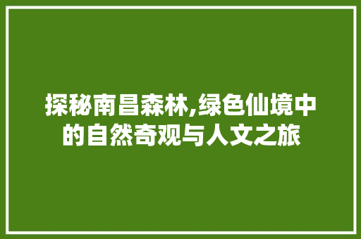 探秘南昌森林,绿色仙境中的自然奇观与人文之旅