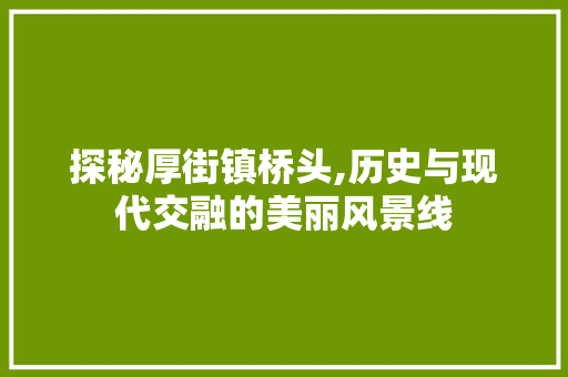 探秘厚街镇桥头,历史与现代交融的美丽风景线