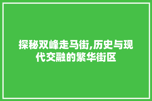 探秘双峰走马街,历史与现代交融的繁华街区