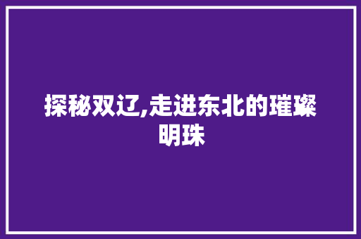 探秘双辽,走进东北的璀璨明珠