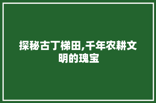 探秘古丁梯田,千年农耕文明的瑰宝