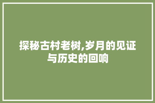 探秘古村老树,岁月的见证与历史的回响