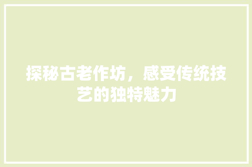 探秘古老作坊，感受传统技艺的独特魅力