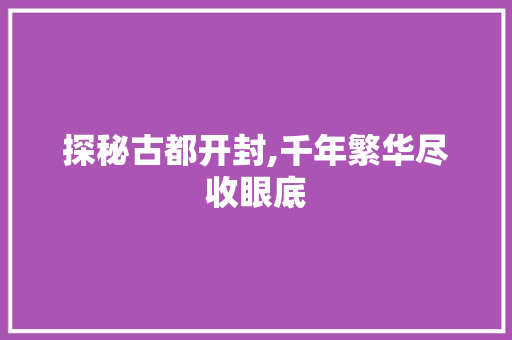 探秘古都开封,千年繁华尽收眼底