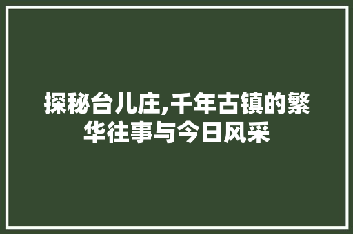 探秘台儿庄,千年古镇的繁华往事与今日风采