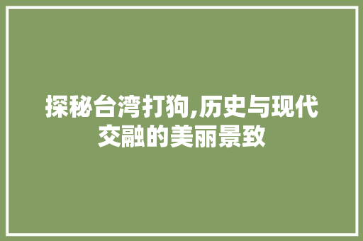 探秘台湾打狗,历史与现代交融的美丽景致