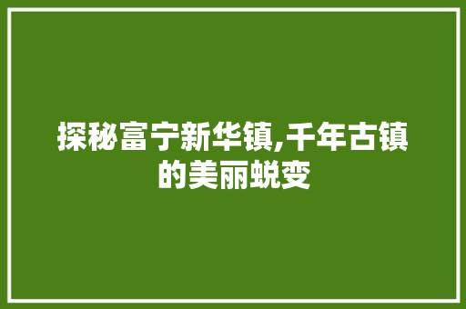 探秘富宁新华镇,千年古镇的美丽蜕变