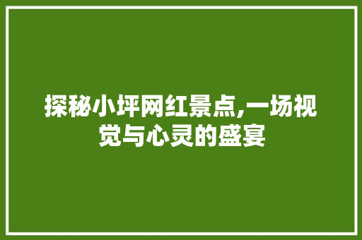 探秘小坪网红景点,一场视觉与心灵的盛宴