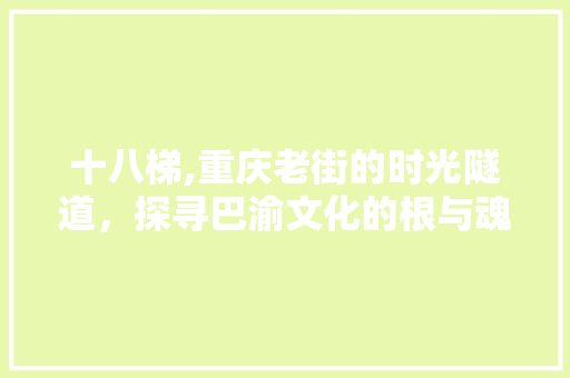 十八梯,重庆老街的时光隧道，探寻巴渝文化的根与魂  第1张