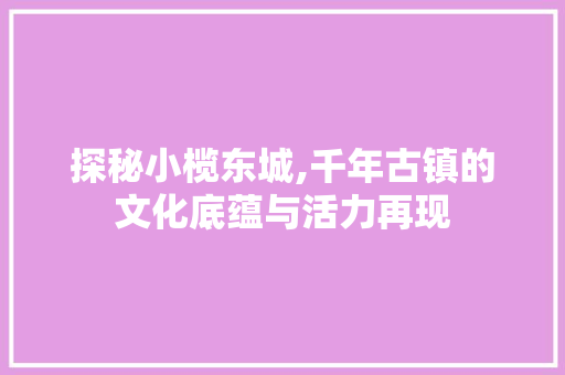 探秘小榄东城,千年古镇的文化底蕴与活力再现