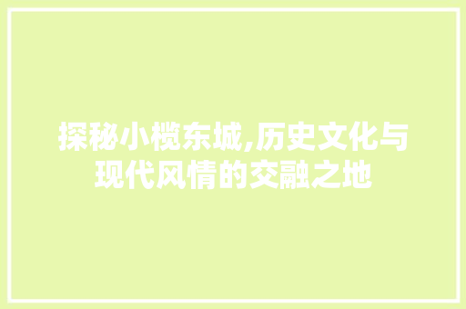 探秘小榄东城,历史文化与现代风情的交融之地