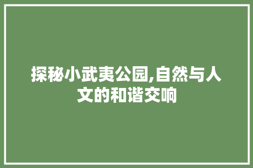 探秘小武夷公园,自然与人文的和谐交响