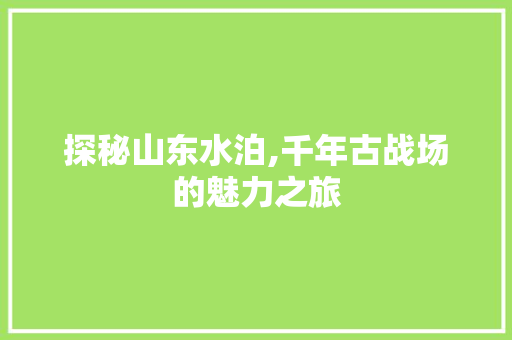 探秘山东水泊,千年古战场的魅力之旅