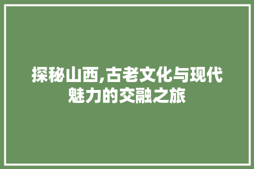 探秘山西,古老文化与现代魅力的交融之旅