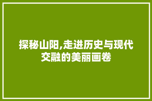 探秘山阳,走进历史与现代交融的美丽画卷