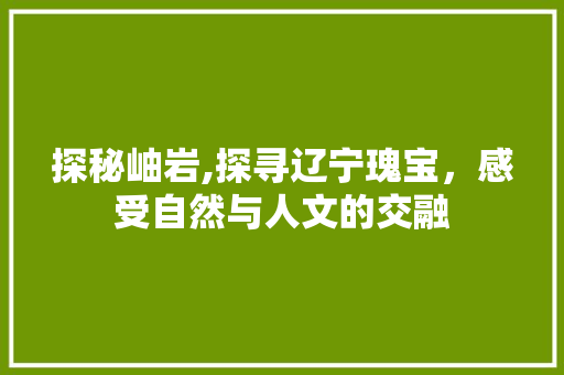 探秘岫岩,探寻辽宁瑰宝，感受自然与人文的交融