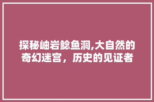 探秘岫岩鲶鱼洞,大自然的奇幻迷宫，历史的见证者