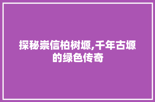 探秘崇信柏树塬,千年古塬的绿色传奇