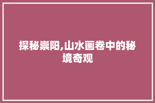 探秘崇阳,山水画卷中的秘境奇观