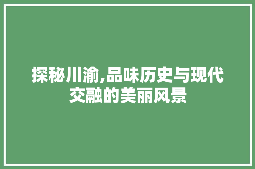 探秘川渝,品味历史与现代交融的美丽风景