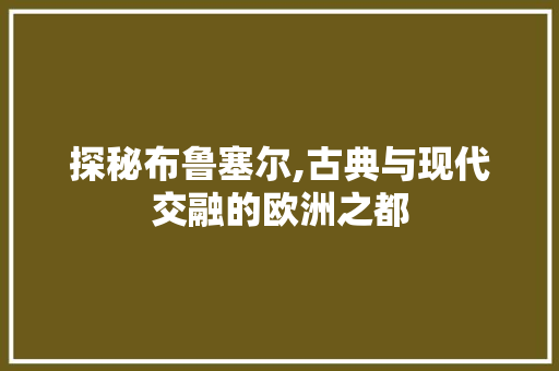 探秘布鲁塞尔,古典与现代交融的欧洲之都  第1张