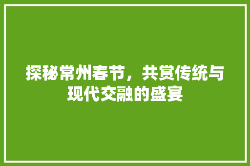 探秘常州春节，共赏传统与现代交融的盛宴